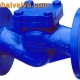 lifting check valve (2)