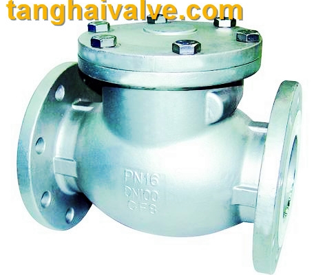 lifting check valve (3)