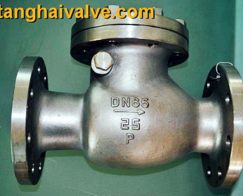 lifting check valve (4)