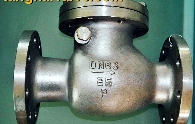 lifting check valve (4)