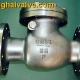 lifting check valve (4)
