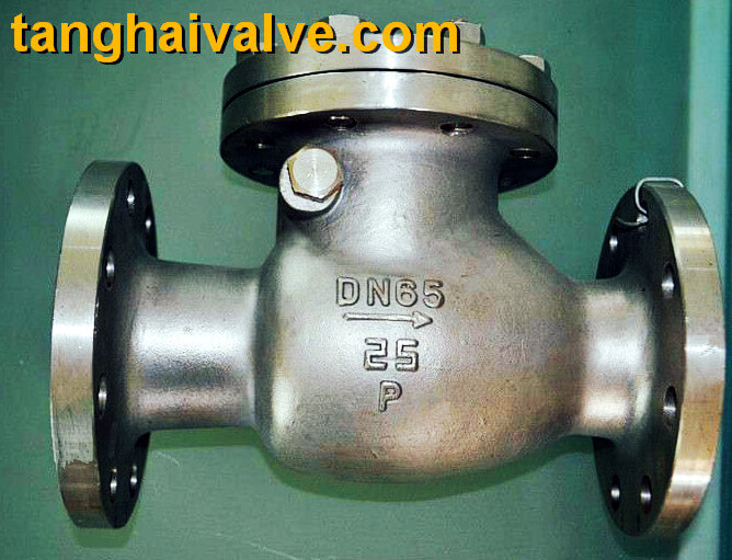 lifting check valve (4)