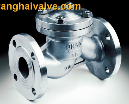 lifting check valve (5)