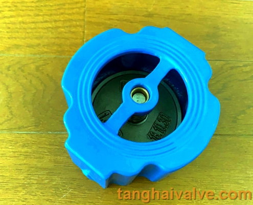 silent check valve (2)