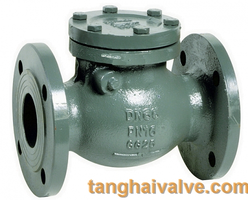 tilting disc check valve body (2)