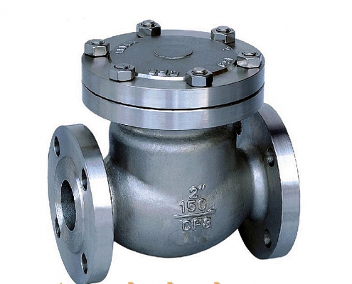 tilting disc check valve body