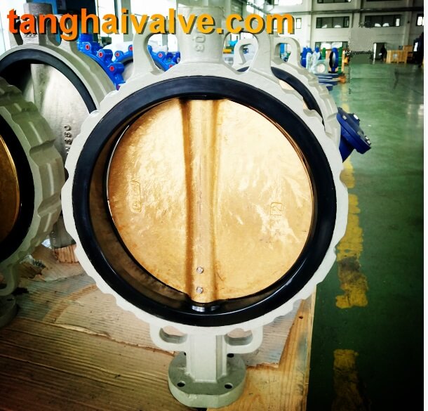 wafer type butterfly valve (6)