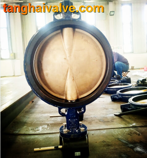 wafer type butterfly valve (7)