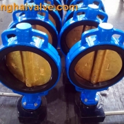 wafer type butterfly valve, NBR seat (11)