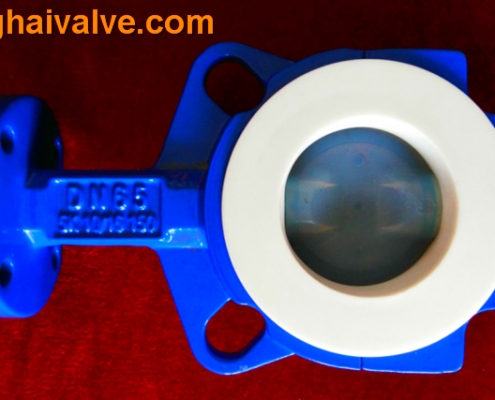 wafer type double stems butterfly valve (1)