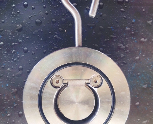 wafer type, single disc swing check valve (1)
