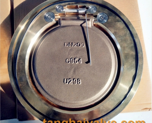wafer type, single disc swing check valve (3)