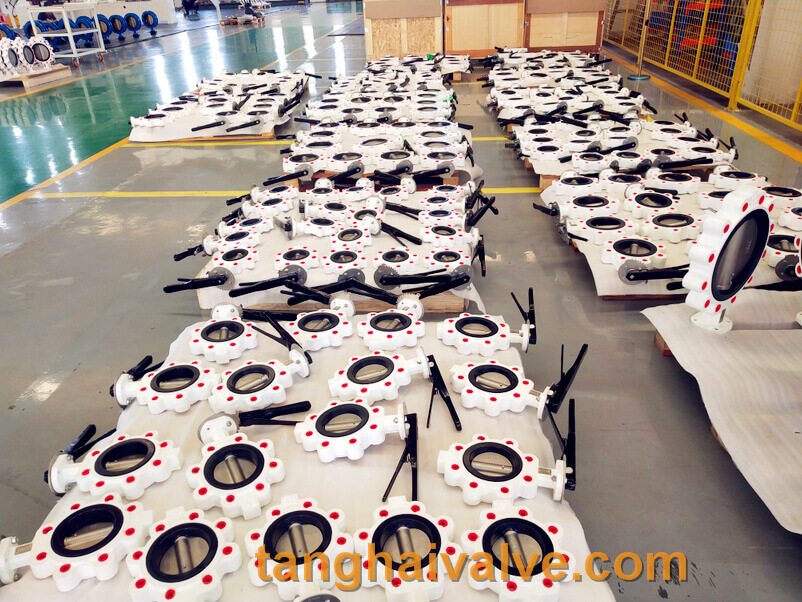 lug type butterfly valve-ductile iron