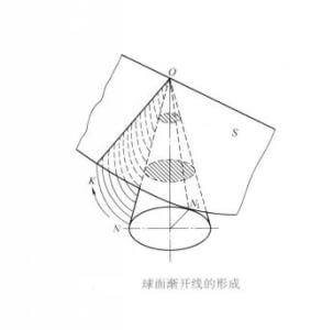 The formation of spherical involute