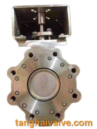 Double eccentric-lug butterfly valve-D72F-150lbP-stainless steel (4)