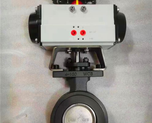 Double offset-butterfly valve-D972F-150lbC (1)