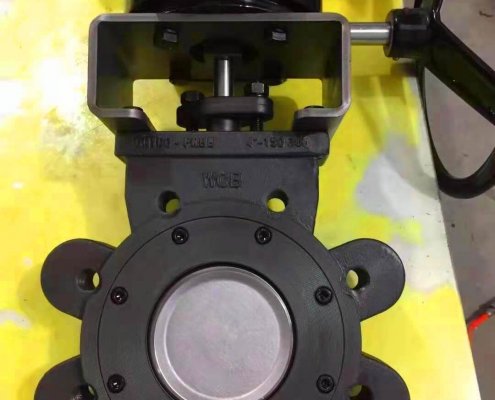 Double offset-lug butterfly valve-D372F-150lbC (1)