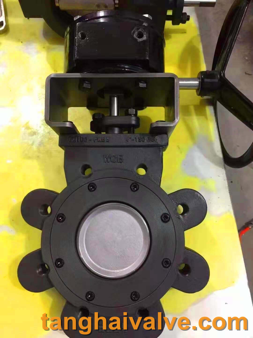 Double offset-lug butterfly valve-D372F-150lbC (1)