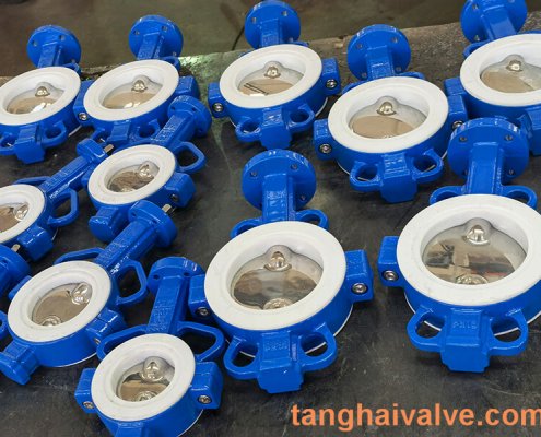 Fluorine lined butterfly valve-PTFE-WAFER (10)