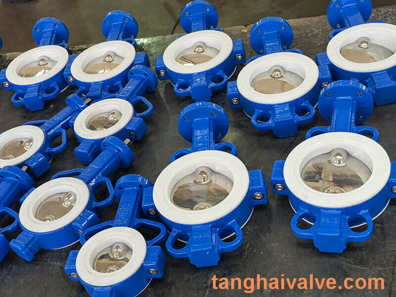 Fluorine lined butterfly valve-PTFE-WAFER (10)