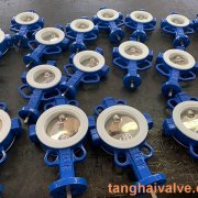 Fluorine lined butterfly valve-PTFE-WAFER (4)