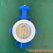 Fluorine lined butterfly valve-PTFE-WAFER (5)