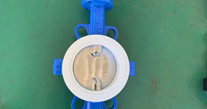 Fluorine lined butterfly valve-PTFE-WAFER (5)