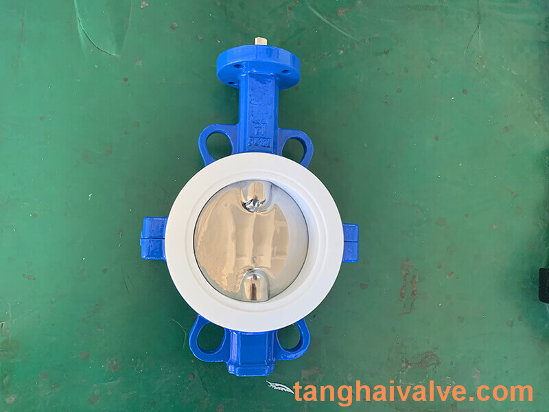 Fluorine lined butterfly valve-PTFE-WAFER (5)