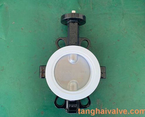 Fluorine lined butterfly valve-PTFE-WAFER (6)