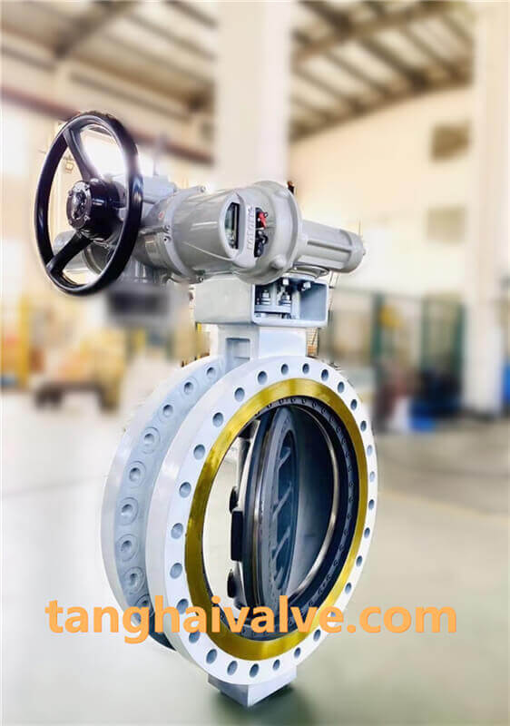 triple offset butterfly valve-double flange- (5)