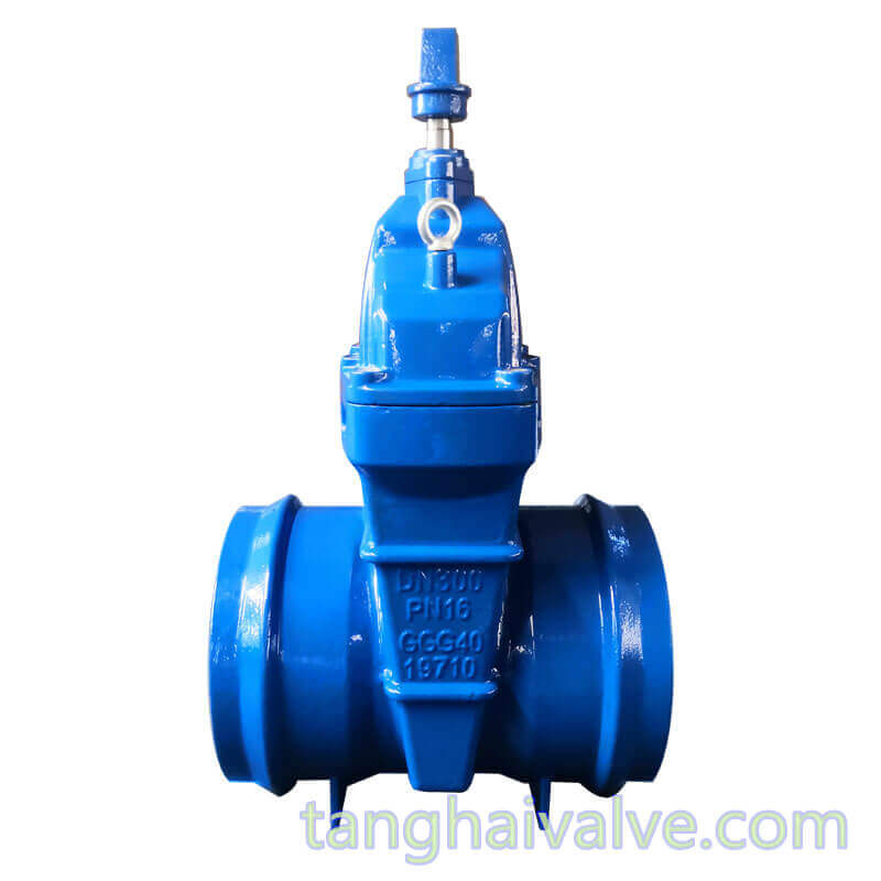 Socket welding gate valve-DN150-PN16-square hat (1)