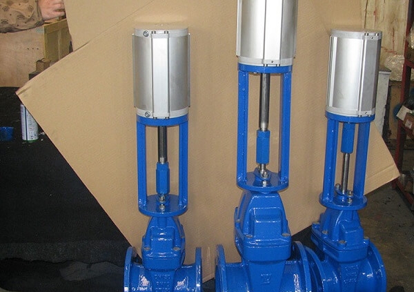 pneumatic gate valve (3)