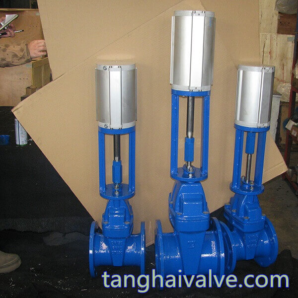 pneumatic gate valve (3)