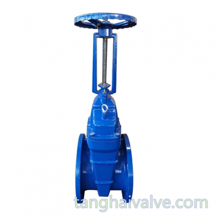 Nonrising stem(NRS) and rising stem(RS) gate valve tanghaivalve