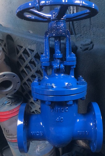 PN40-DN100 cast steel WCB gate valve photo