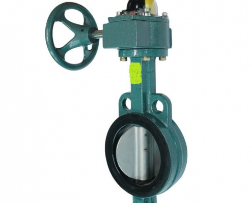 JIS 10K-wafer butterfly valve-backup seat (5)