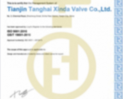 ISO 9000--Tanghai Valve-1