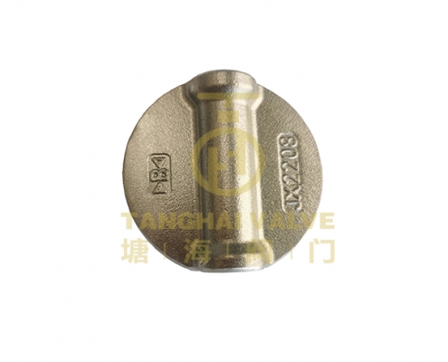 B-CF8M