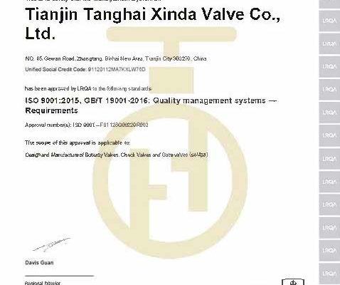 ISO 9001--Tanghai Valve