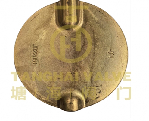 Valve Disc